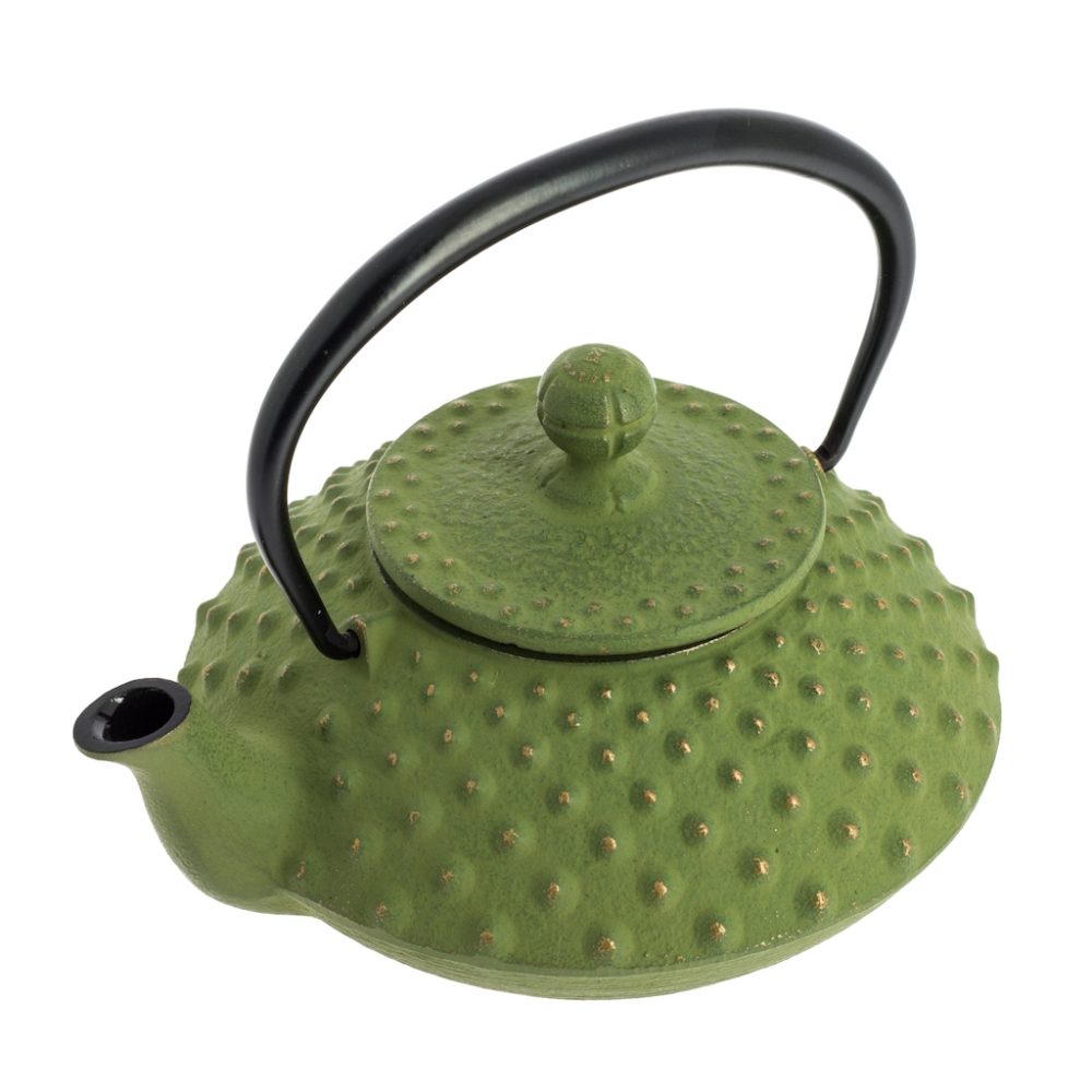 Iwachu Cast Iron Teapot Kambin – Green 320ml