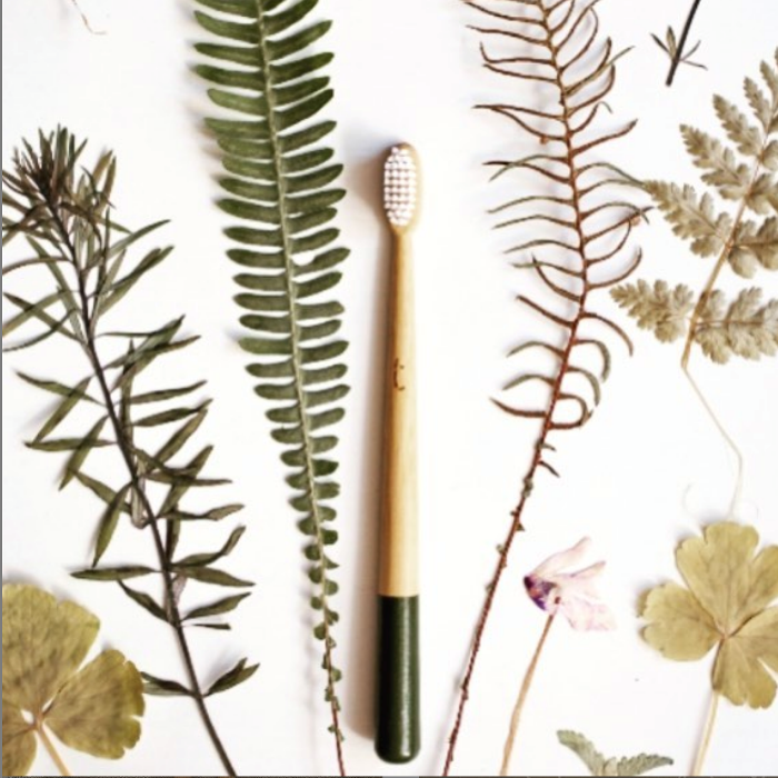 Truthbrush Bamboo Toothbrush with Castor Oil Bristles – Medium Green