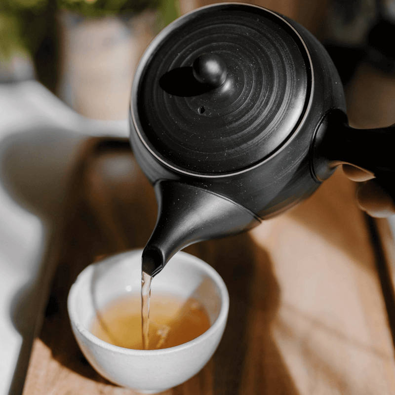 Japanese Teapot – Kyusu Naito